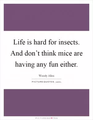 Life is hard for insects. And don’t think mice are having any fun either Picture Quote #1