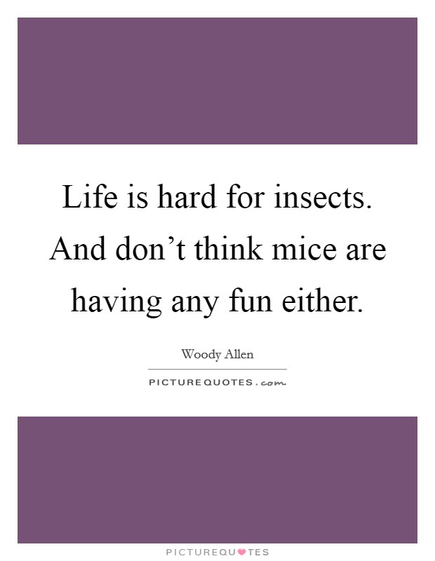 Life is hard for insects. And don't think mice are having any fun either. Picture Quote #1