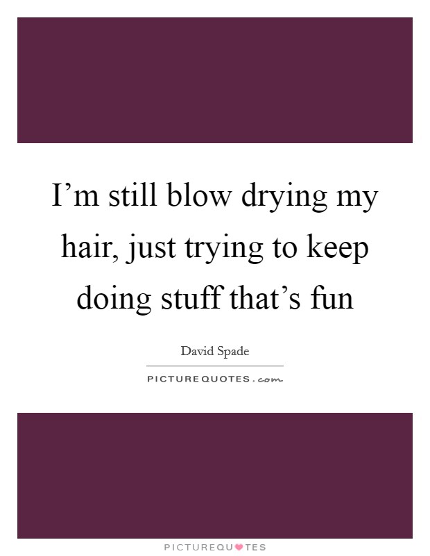 I'm still blow drying my hair, just trying to keep doing stuff that's fun Picture Quote #1