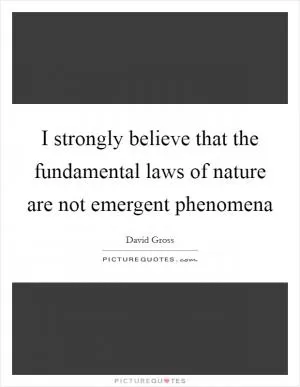 I strongly believe that the fundamental laws of nature are not emergent phenomena Picture Quote #1