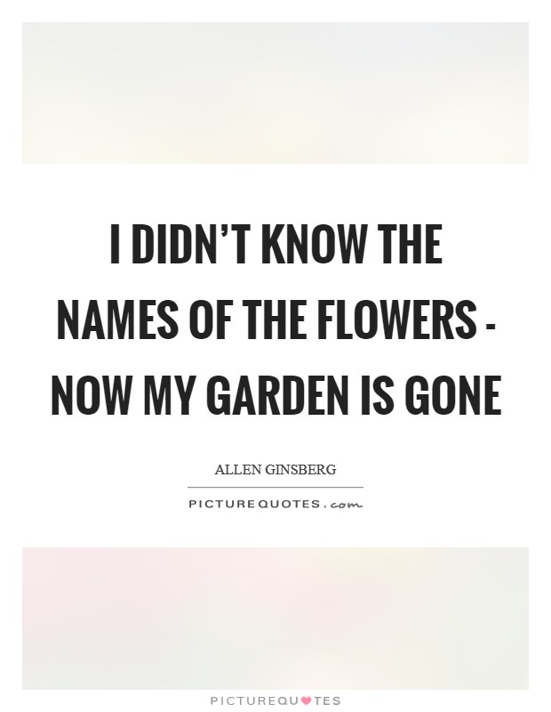 I didn't know the names of the flowers - now my garden is gone Picture Quote #1