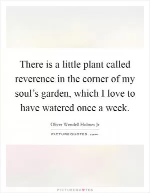 There is a little plant called reverence in the corner of my soul’s garden, which I love to have watered once a week Picture Quote #1