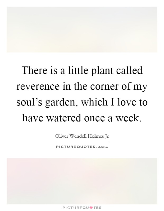 There is a little plant called reverence in the corner of my soul's garden, which I love to have watered once a week. Picture Quote #1