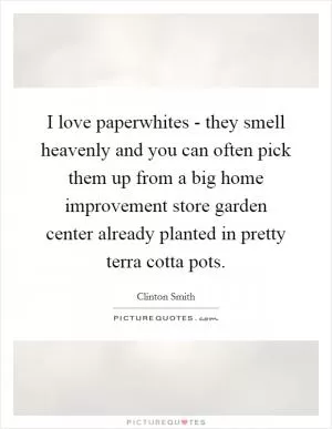 I love paperwhites - they smell heavenly and you can often pick them up from a big home improvement store garden center already planted in pretty terra cotta pots Picture Quote #1