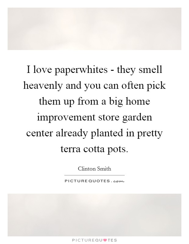 I love paperwhites - they smell heavenly and you can often pick them up from a big home improvement store garden center already planted in pretty terra cotta pots. Picture Quote #1