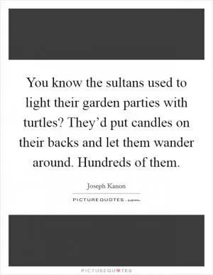 You know the sultans used to light their garden parties with turtles? They’d put candles on their backs and let them wander around. Hundreds of them Picture Quote #1