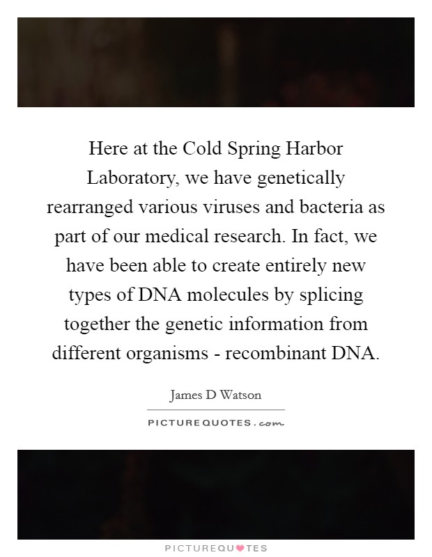 Here at the Cold Spring Harbor Laboratory, we have genetically rearranged various viruses and bacteria as part of our medical research. In fact, we have been able to create entirely new types of DNA molecules by splicing together the genetic information from different organisms - recombinant DNA. Picture Quote #1