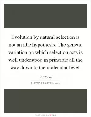 Evolution by natural selection is not an idle hypothesis. The genetic variation on which selection acts is well understood in principle all the way down to the molecular level Picture Quote #1