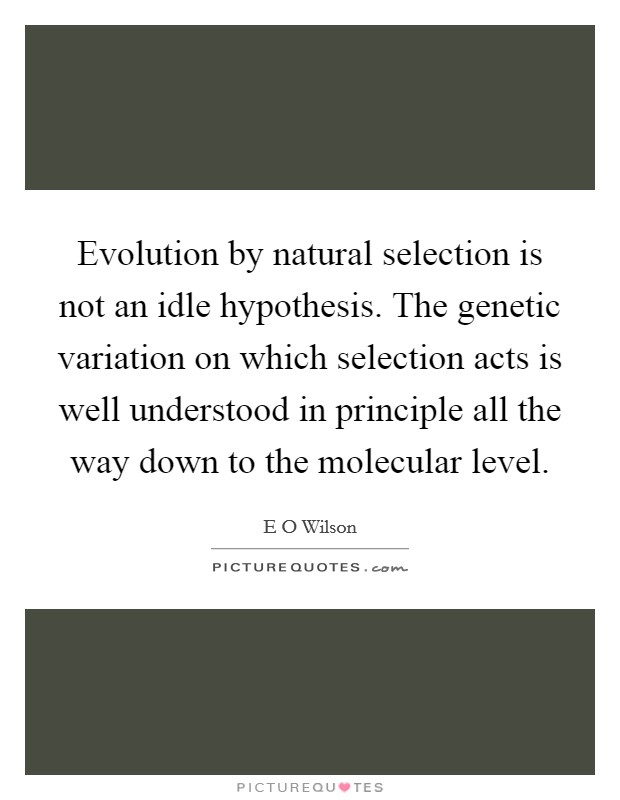 Evolution by natural selection is not an idle hypothesis. The genetic variation on which selection acts is well understood in principle all the way down to the molecular level. Picture Quote #1