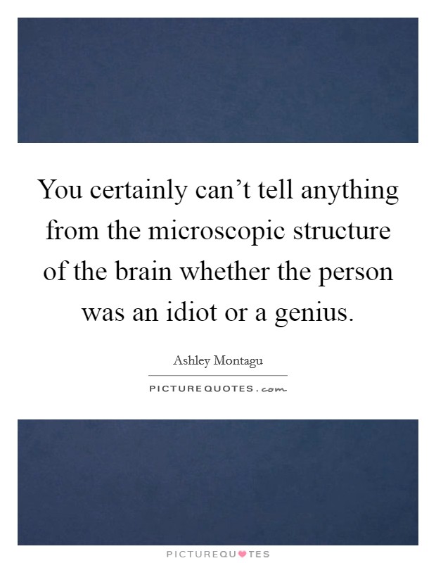 You certainly can't tell anything from the microscopic structure of the brain whether the person was an idiot or a genius. Picture Quote #1