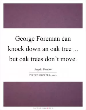 George Foreman can knock down an oak tree ... but oak trees don’t move Picture Quote #1