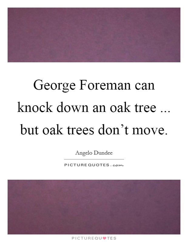 George Foreman can knock down an oak tree ... but oak trees don't move. Picture Quote #1