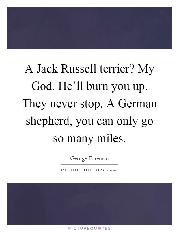 A Jack Russell terrier? My God. He'll burn you up. They never stop. A German shepherd, you can only go so many miles. Picture Quote #1