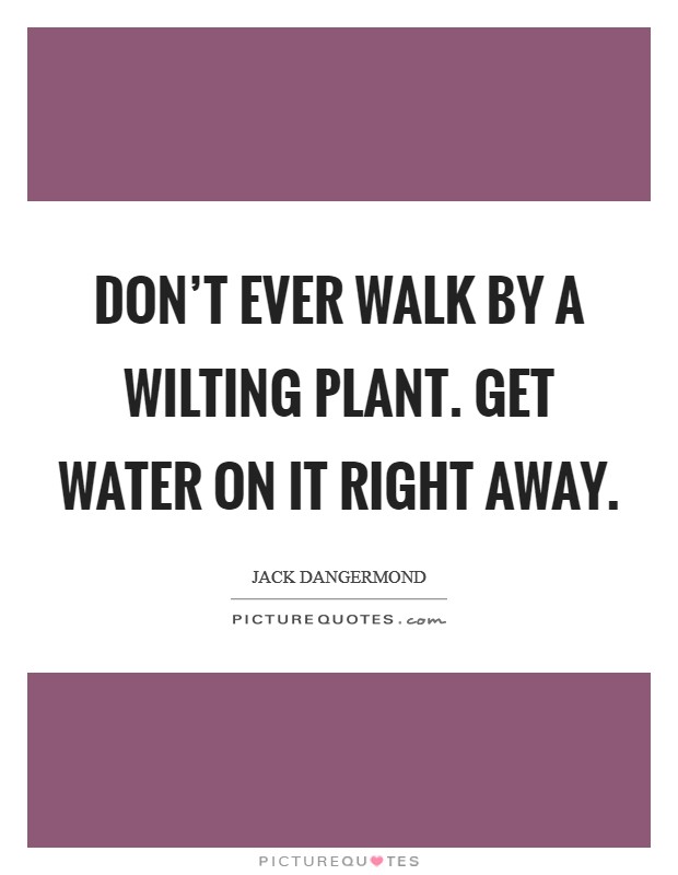 Don't ever walk by a wilting plant. Get water on it right away. Picture Quote #1