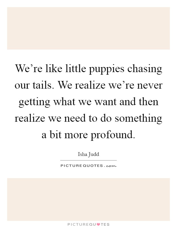 We're like little puppies chasing our tails. We realize we're never getting what we want and then realize we need to do something a bit more profound. Picture Quote #1