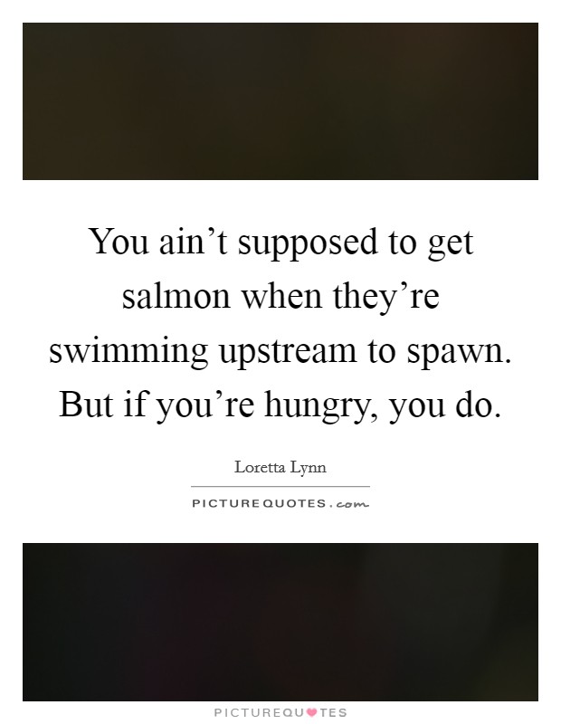 You ain't supposed to get salmon when they're swimming upstream to spawn. But if you're hungry, you do. Picture Quote #1