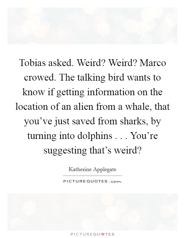 Tobias asked. Weird? Weird? Marco crowed. The talking bird wants to know if getting information on the location of an alien from a whale, that you've just saved from sharks, by turning into dolphins . . . You're suggesting that's weird? Picture Quote #1