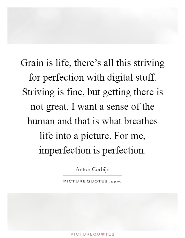 Grain is life, there's all this striving for perfection with digital stuff. Striving is fine, but getting there is not great. I want a sense of the human and that is what breathes life into a picture. For me, imperfection is perfection. Picture Quote #1