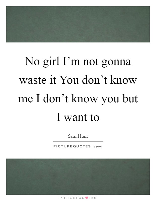 No girl I'm not gonna waste it You don't know me I don't know you but I want to Picture Quote #1