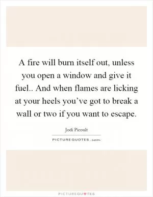 A fire will burn itself out, unless you open a window and give it fuel.. And when flames are licking at your heels you’ve got to break a wall or two if you want to escape Picture Quote #1
