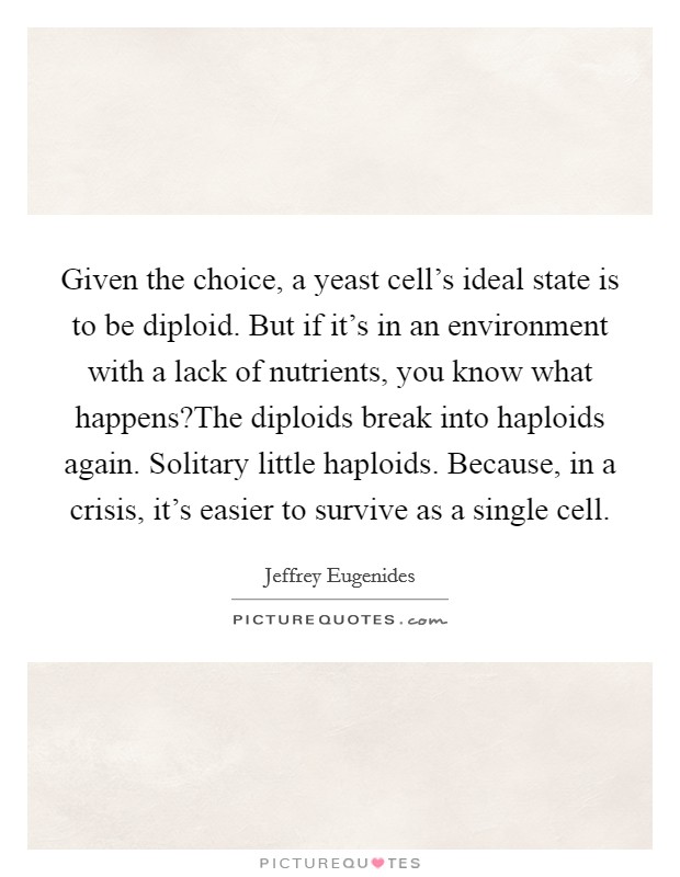 Given the choice, a yeast cell's ideal state is to be diploid. But if it's in an environment with a lack of nutrients, you know what happens?The diploids break into haploids again. Solitary little haploids. Because, in a crisis, it's easier to survive as a single cell. Picture Quote #1