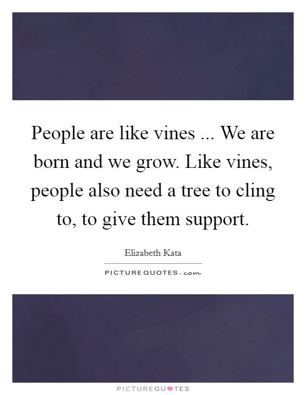 People are like vines ... We are born and we grow. Like vines, people also need a tree to cling to, to give them support. Picture Quote #1