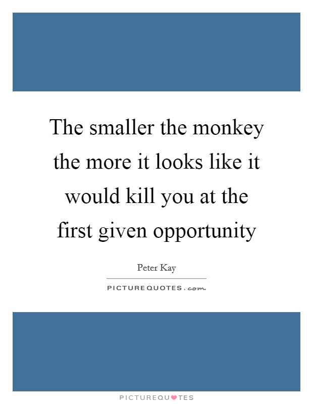 The smaller the monkey the more it looks like it would kill you at the first given opportunity Picture Quote #1