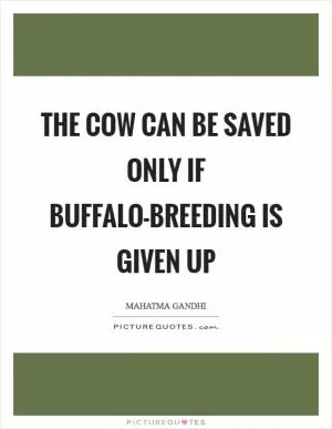 The cow can be saved only if buffalo-breeding is given up Picture Quote #1