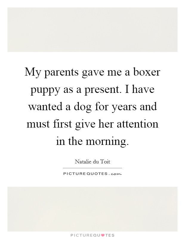 My parents gave me a boxer puppy as a present. I have wanted a dog for years and must first give her attention in the morning. Picture Quote #1