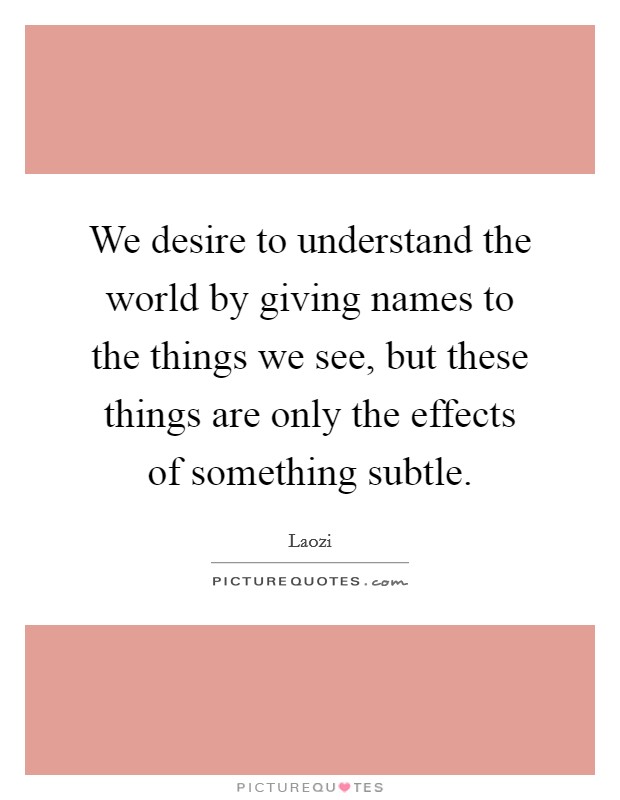We desire to understand the world by giving names to the things we see, but these things are only the effects of something subtle. Picture Quote #1
