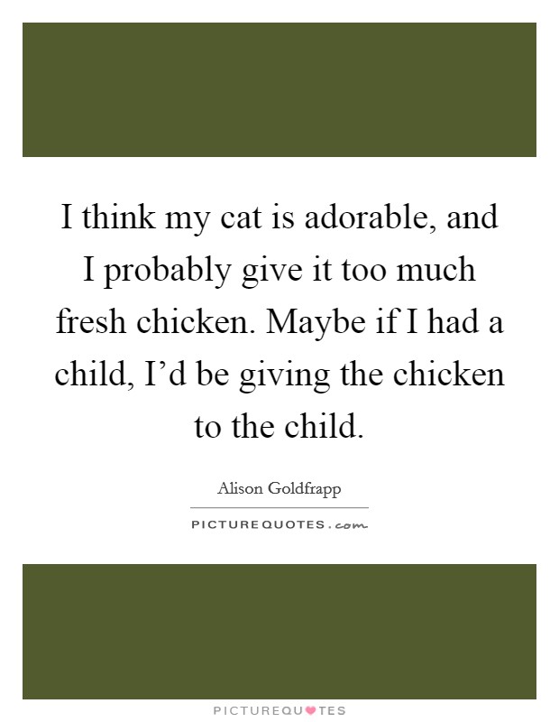 I think my cat is adorable, and I probably give it too much fresh chicken. Maybe if I had a child, I'd be giving the chicken to the child. Picture Quote #1
