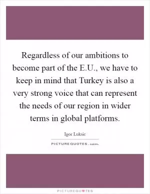 Regardless of our ambitions to become part of the E.U., we have to keep in mind that Turkey is also a very strong voice that can represent the needs of our region in wider terms in global platforms Picture Quote #1