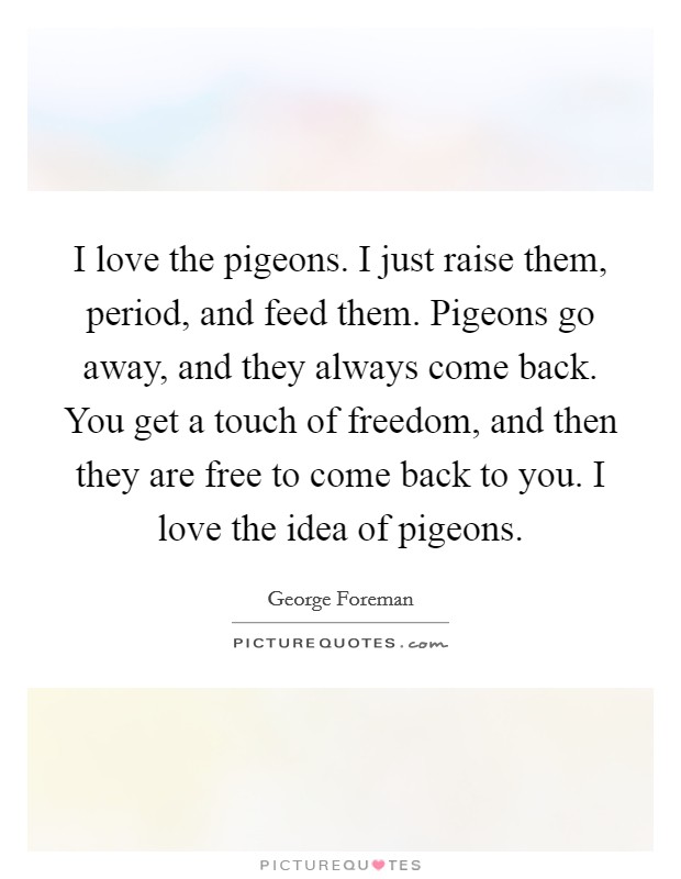 I love the pigeons. I just raise them, period, and feed them. Pigeons go away, and they always come back. You get a touch of freedom, and then they are free to come back to you. I love the idea of pigeons. Picture Quote #1