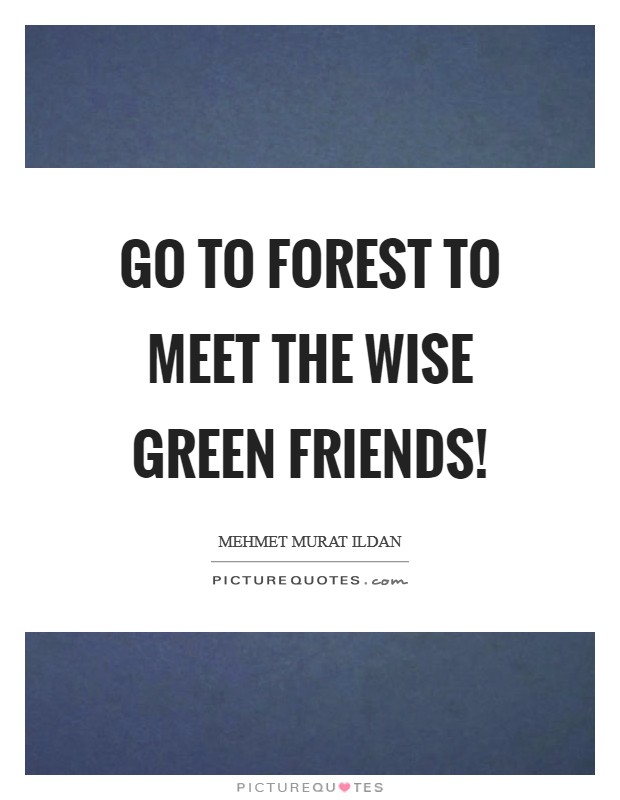 Go to forest to meet the wise green friends! Picture Quote #1
