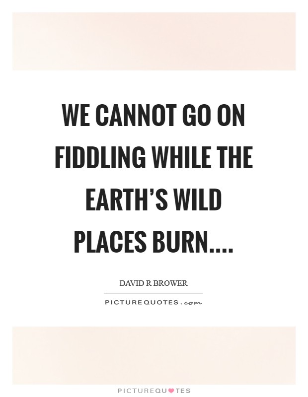 We cannot go on fiddling while the earth's wild places burn.... Picture Quote #1