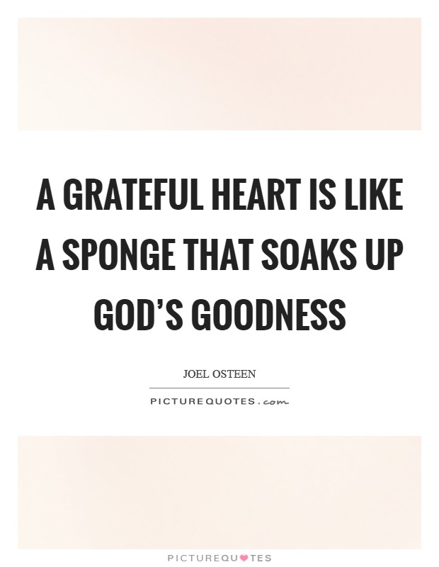 A grateful heart is like a sponge that soaks up God's goodness Picture Quote #1