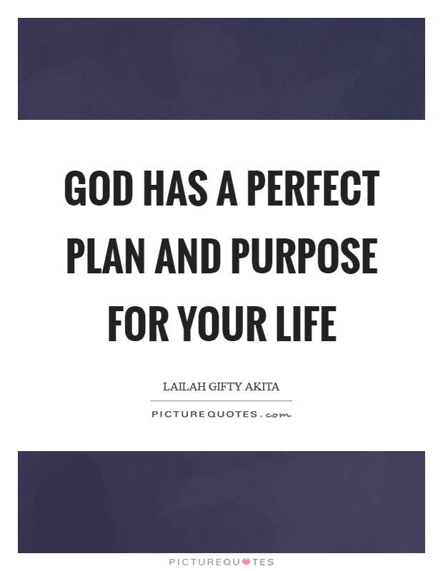 God has a perfect plan and purpose for your life Picture Quote #1