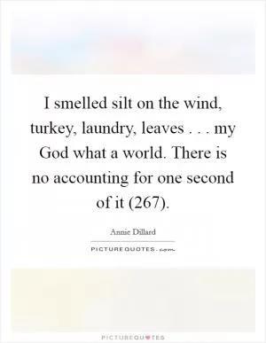 I smelled silt on the wind, turkey, laundry, leaves . . . my God what a world. There is no accounting for one second of it (267) Picture Quote #1