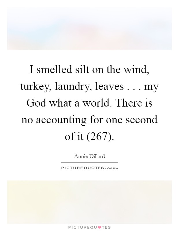 I smelled silt on the wind, turkey, laundry, leaves . . . my God what a world. There is no accounting for one second of it (267). Picture Quote #1