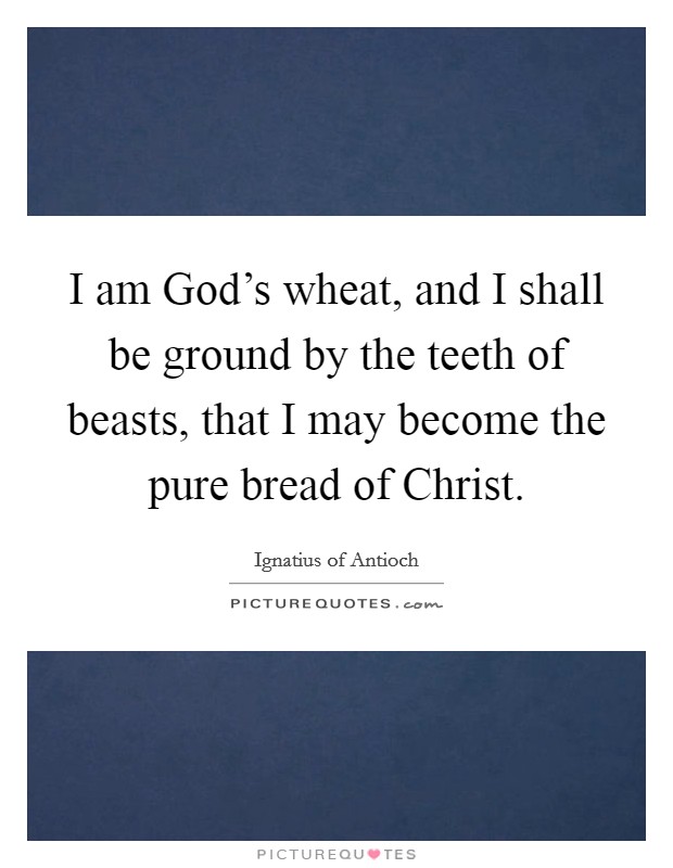 I am God's wheat, and I shall be ground by the teeth of beasts, that I may become the pure bread of Christ. Picture Quote #1