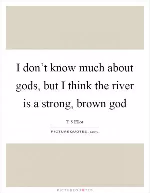 I don’t know much about gods, but I think the river is a strong, brown god Picture Quote #1