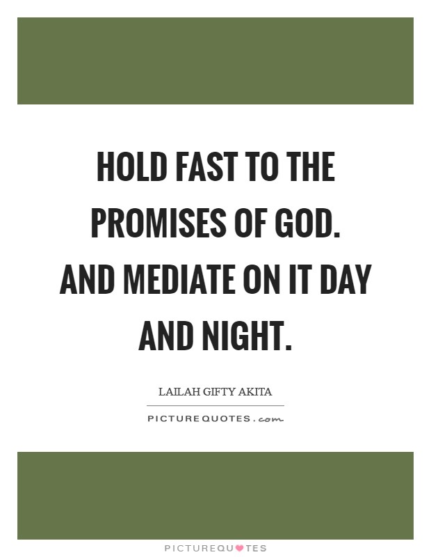 Hold fast to the promises of God. And mediate on it day and night. Picture Quote #1