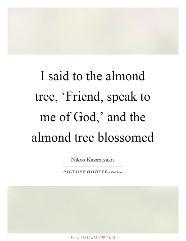 I said to the almond tree, ‘Friend, speak to me of God,' and the almond tree blossomed Picture Quote #1