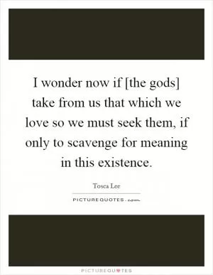 I wonder now if [the gods] take from us that which we love so we must seek them, if only to scavenge for meaning in this existence Picture Quote #1