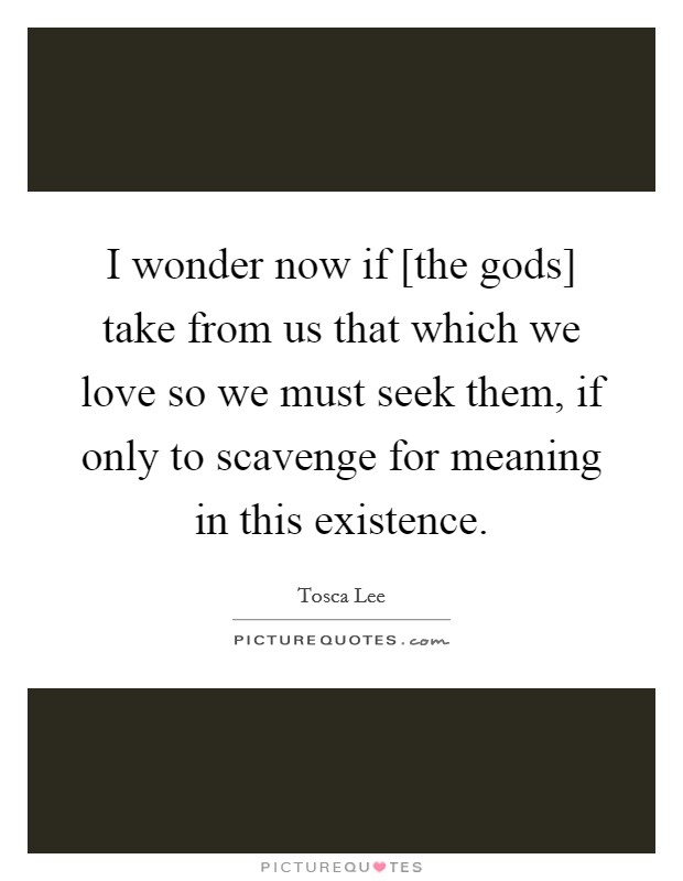 I wonder now if [the gods] take from us that which we love so we must seek them, if only to scavenge for meaning in this existence. Picture Quote #1