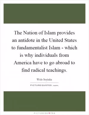 The Nation of Islam provides an antidote in the United States to fundamentalist Islam - which is why individuals from America have to go abroad to find radical teachings Picture Quote #1