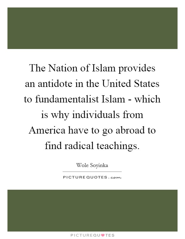 The Nation of Islam provides an antidote in the United States to fundamentalist Islam - which is why individuals from America have to go abroad to find radical teachings. Picture Quote #1