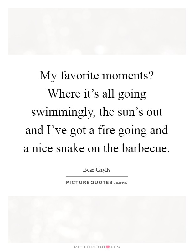 My favorite moments? Where it's all going swimmingly, the sun's out and I've got a fire going and a nice snake on the barbecue. Picture Quote #1