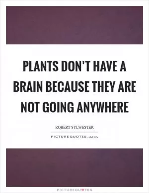 Plants don’t have a brain because they are not going anywhere Picture Quote #1