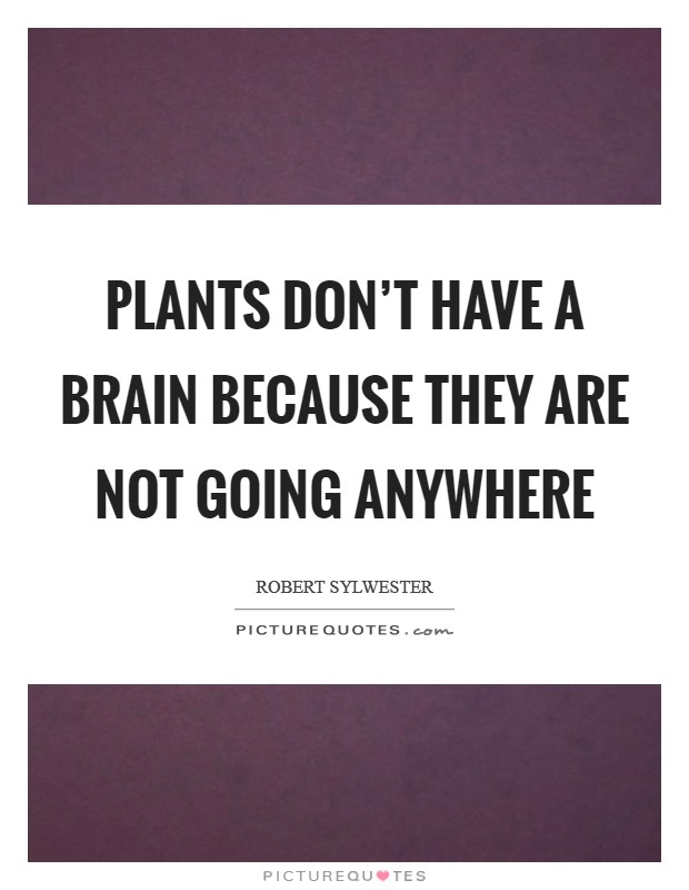 Plants don't have a brain because they are not going anywhere Picture Quote #1